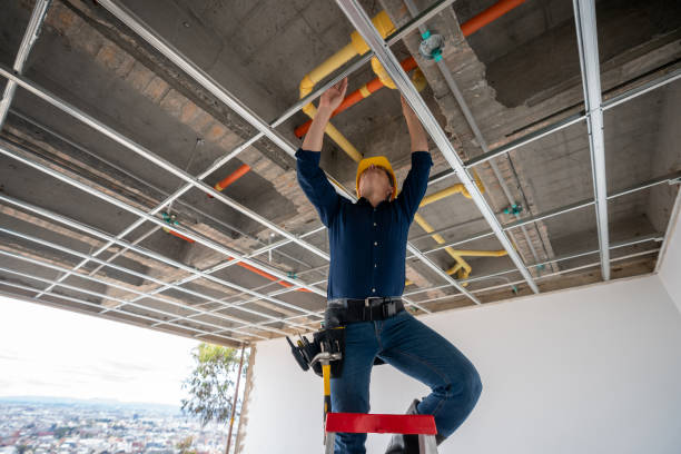 Best Water Leak Repair  in Hidalgo, TX