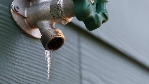 Best Residential Plumbing Services  in Hidalgo, TX