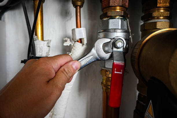 Best Shower Repair Services  in Hidalgo, TX